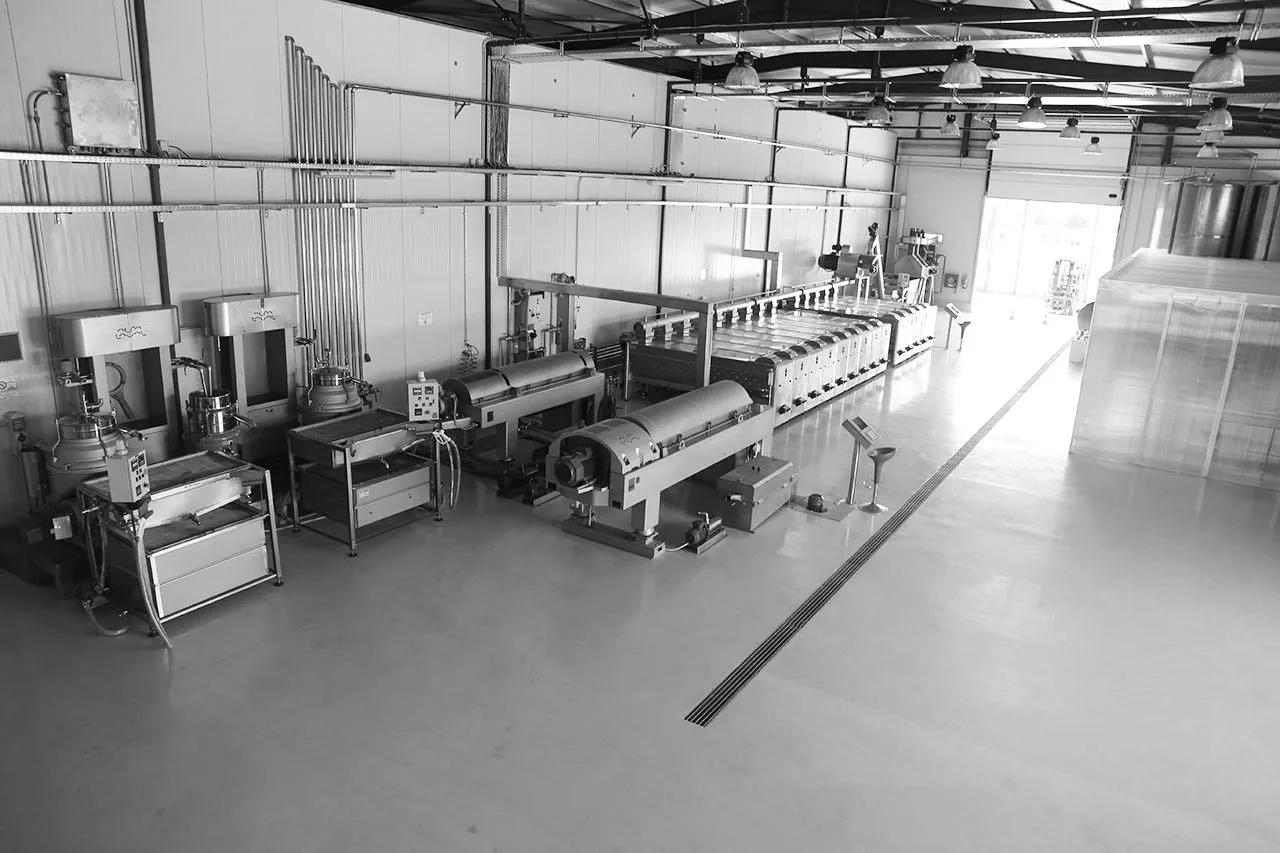Inside the Lapithas olive mill in Krestena