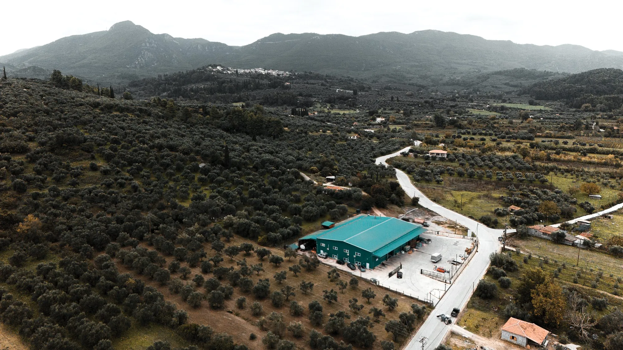 Aerial view of the Lapithas olive groves and mill at the foothills of Mount Lapithas, Ancient Olympia